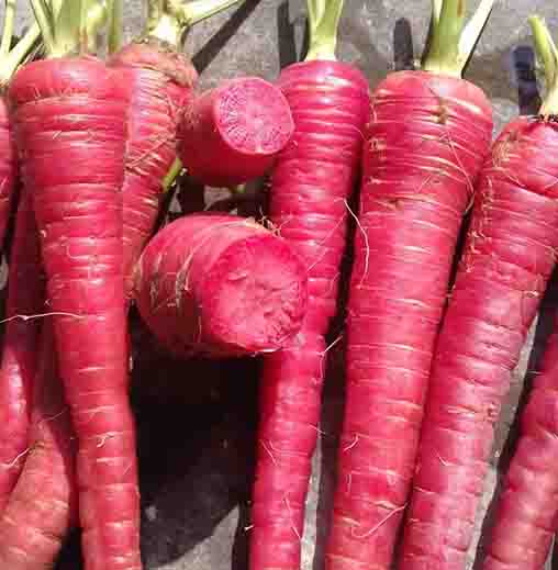 Carrot - Pusa Red Seeds