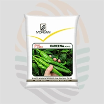 Kareena F1 Hybrid Chilli Seeds
