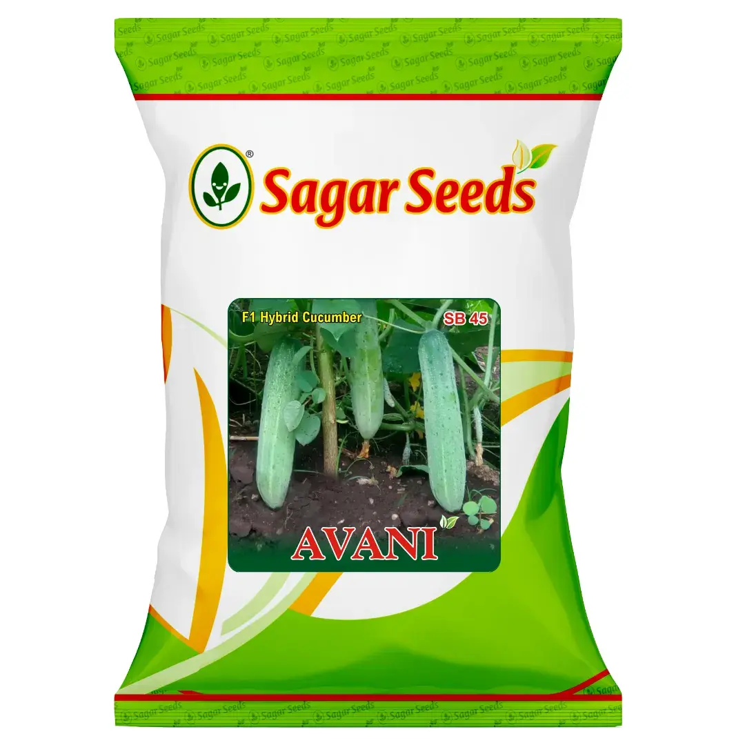 Sagar Avani F1 Hybrid Cucumber Seeds, High Yield, Dark Green, Elongated Blocky Shape