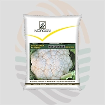 Monsoon Pari F1 Hybrid Cauliflower Seeds