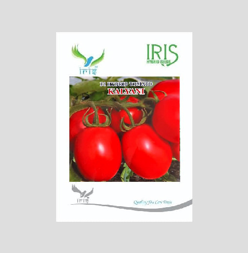 Iris Kalyani F1 Hybrid Tomato Seeds