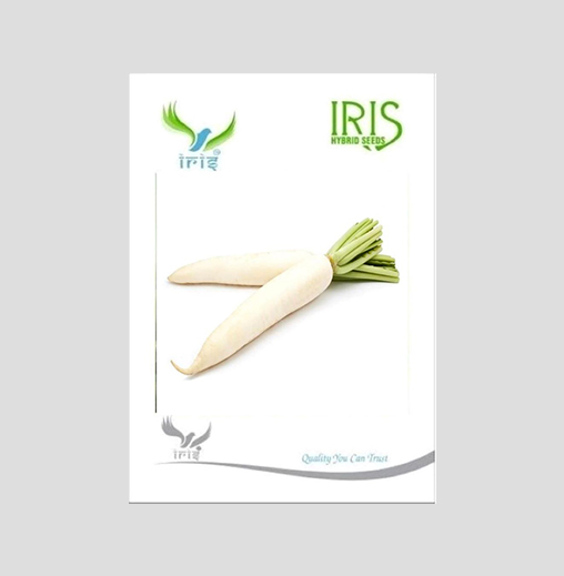 Iris Imported Radish Seeds