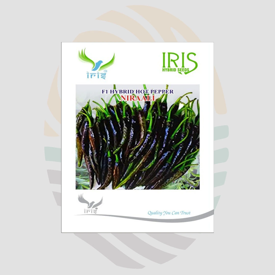 Niraali F1 Hybrid Hot Pepper Seeds