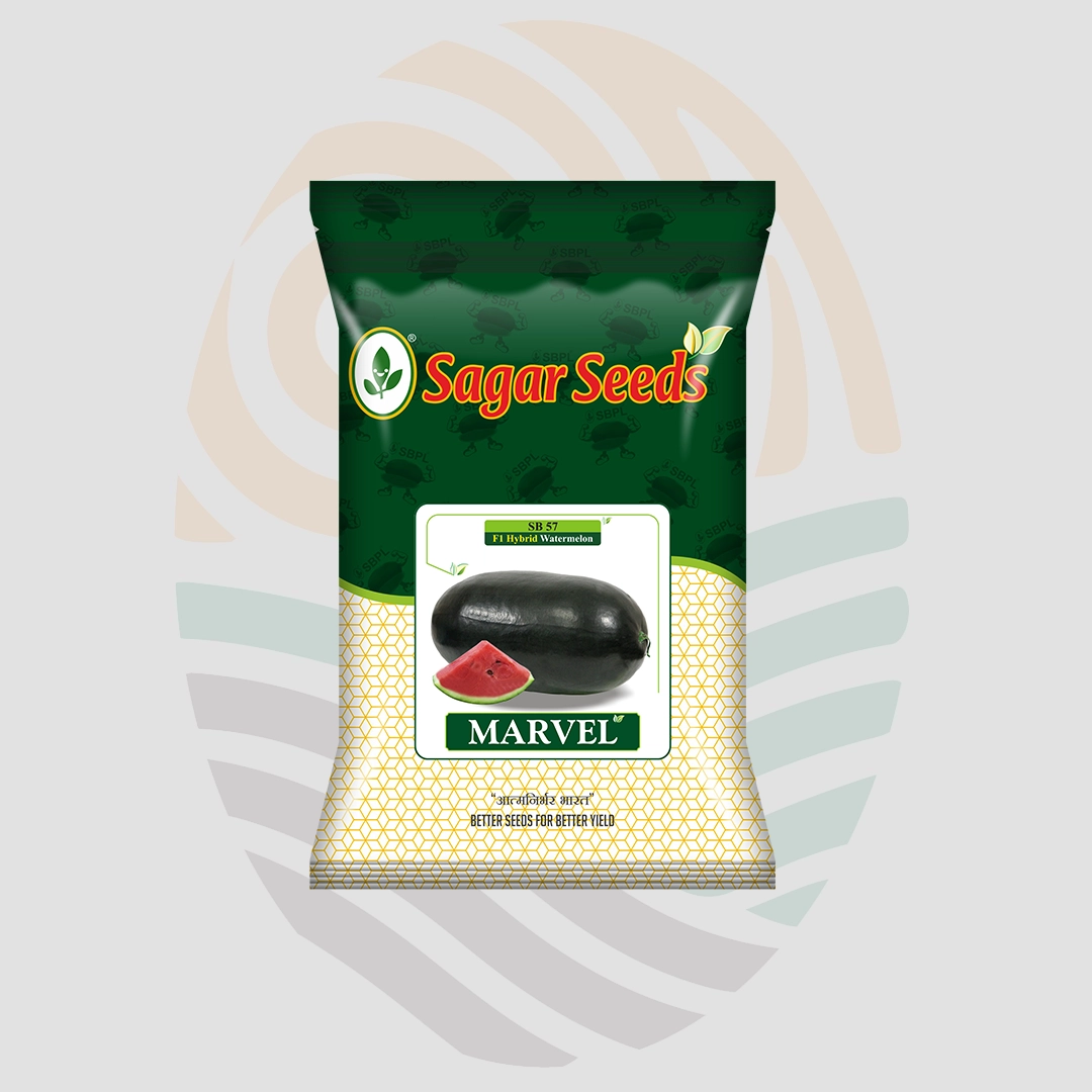 Sagar Marvel F1 Watermelon Seeds
