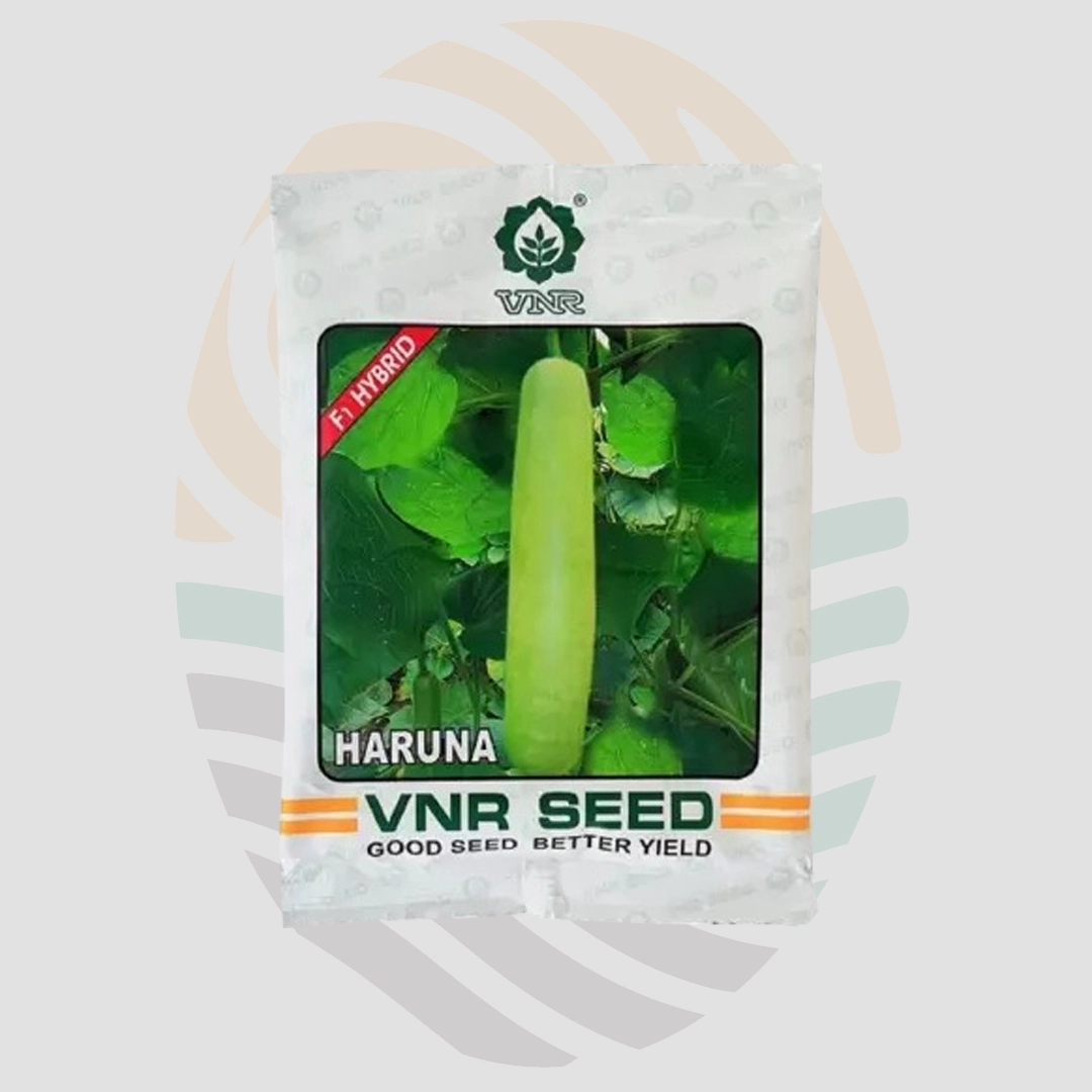Haruna F1 Hybrid Bottle Gourd Seeds
