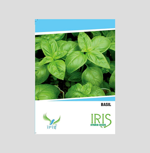 Iris Imported Basil Seeds
