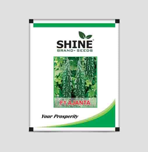 Ajanta F1 Hybrid Bitter Gourd Seeds