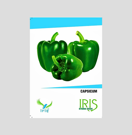 Iris F1 Hybrid Green Capsicum Seeds