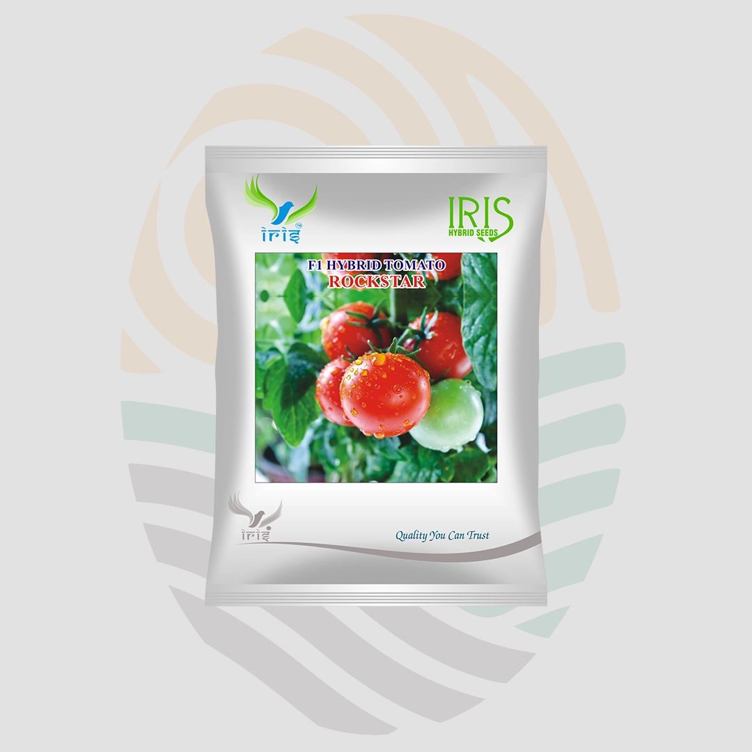Iris Rockstar F1 Hybrid Tomato seeds