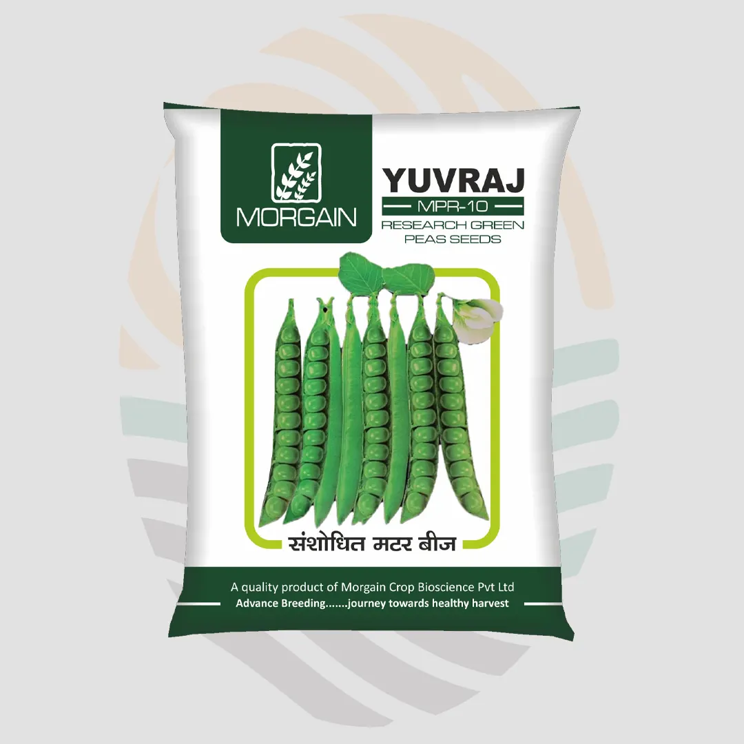 Yuvraj (MPR-10) Peas Research Variety