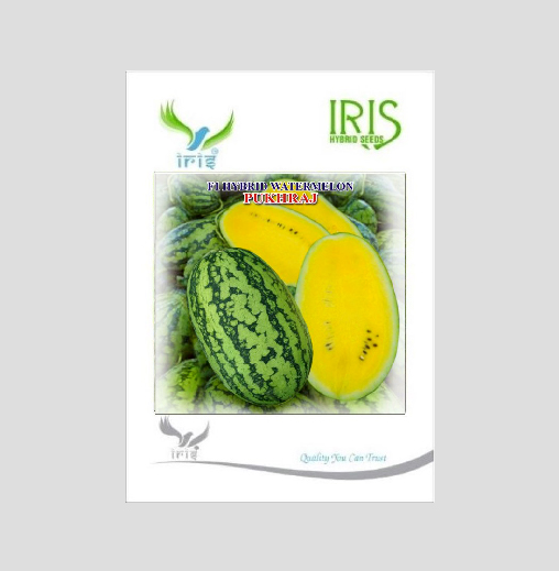 Iris Hybrid Fruit Seeds F1 Hybrid Watermelon Pukhraj - Sugar Baby Type