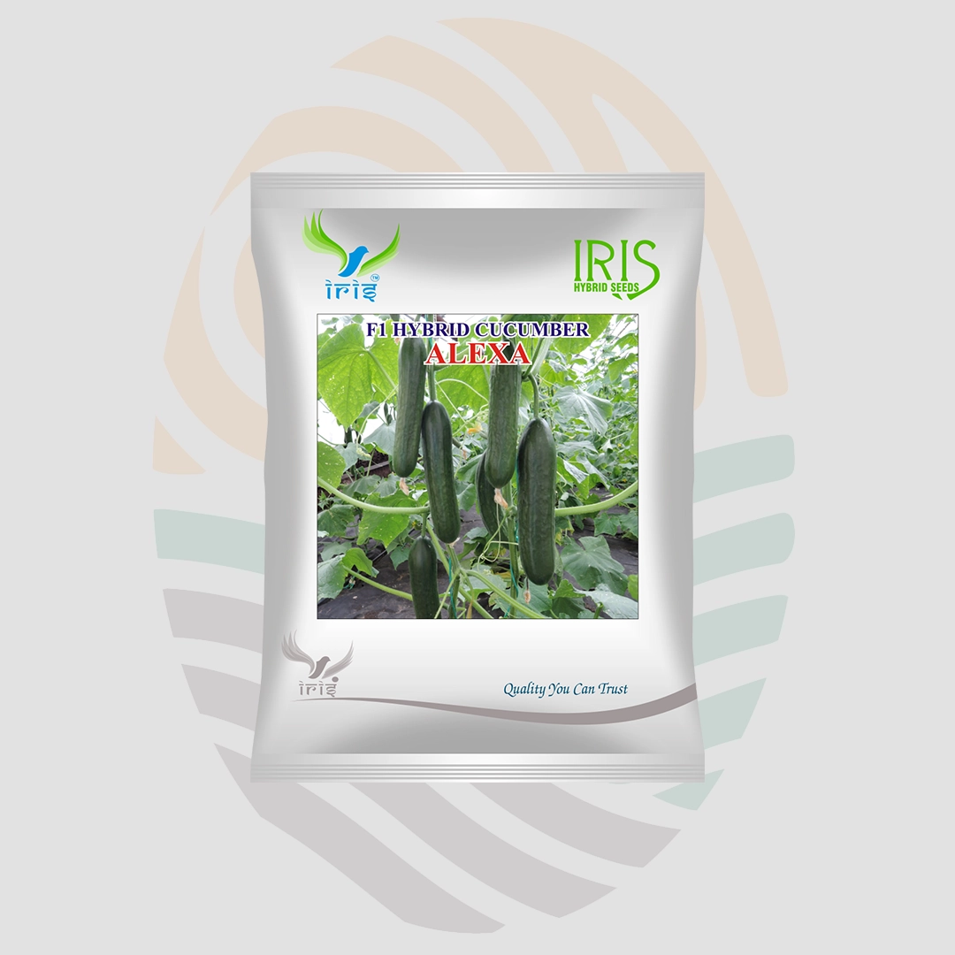 Iris Alexa  F1 Hybrid Cucumber Seeds