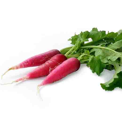 Radha Krishna Radish Full Red Seeds