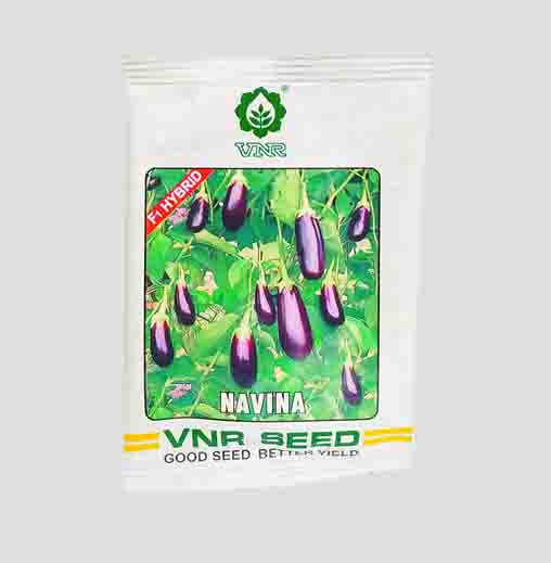VNR NAVINA Brinjal Seeds