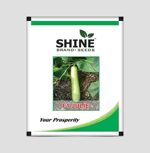 Julie F1 Hybrid Bottle Gourd Seeds