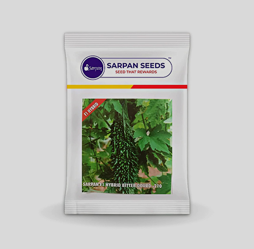 Sarpan -210 Bittergourd Seeds
