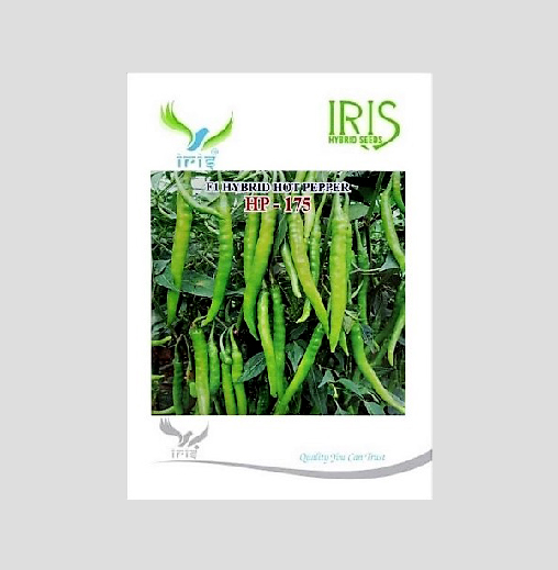 Iris  HP-175 F1 Hybrid Hot Pepper (Chilli) Seeds