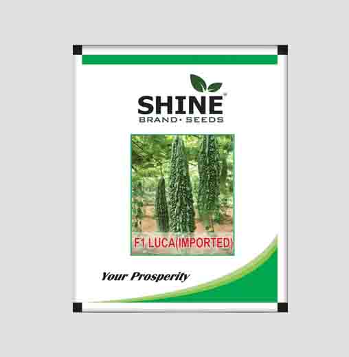 Luca F1 Hybrid Bitter Gourd Seeds