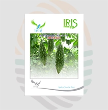 Iris F1 Hybrid  Mustafa  Bitter Gourd Seeds