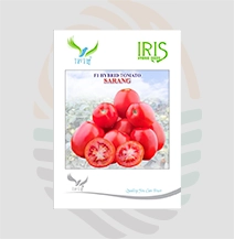 Iris Sarang F1 Hybrid Tomato Seeds