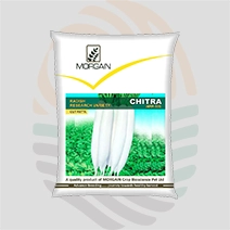 Chitra (Chetki type) Research Radish Seeds