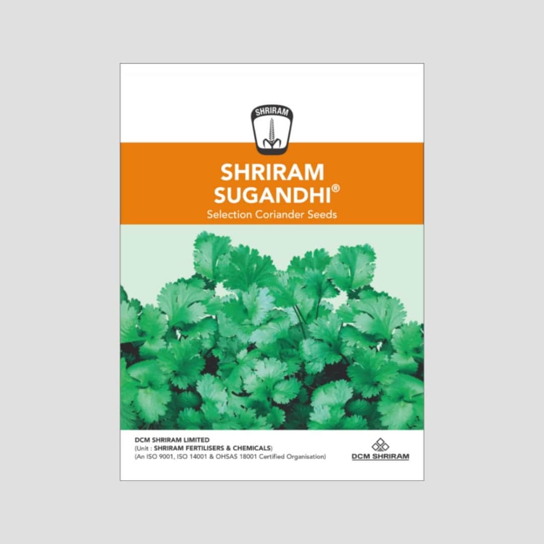 Sugandhi Selection Coriander Seeds
