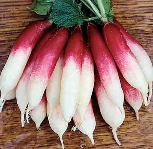Radha Krishna Radish Half Red Seeds