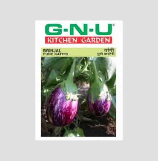 Puneri Kateri Brinjal Seeds