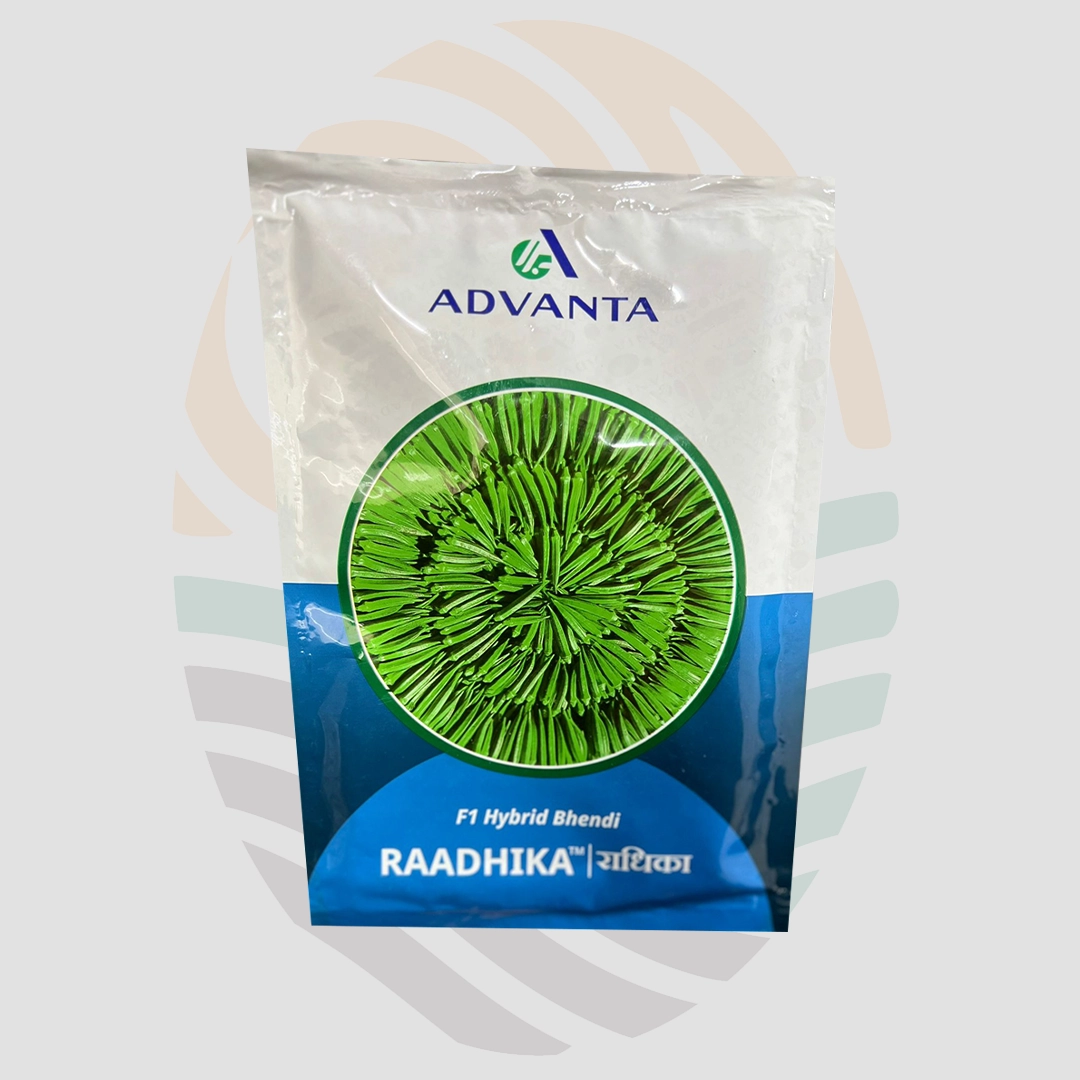 Radhika Bhindi seeds
