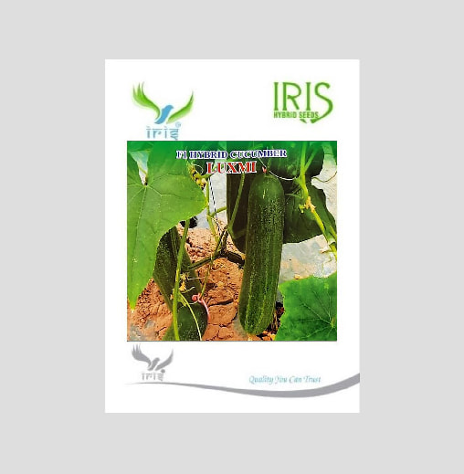 Iris Luxmi F1 Hybrid Cucumber Seeds