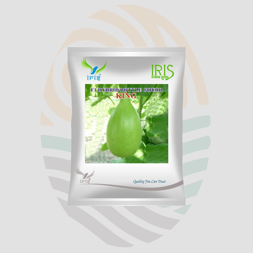 Iris  F1 Hybrid King Bottle Gourd Seeds