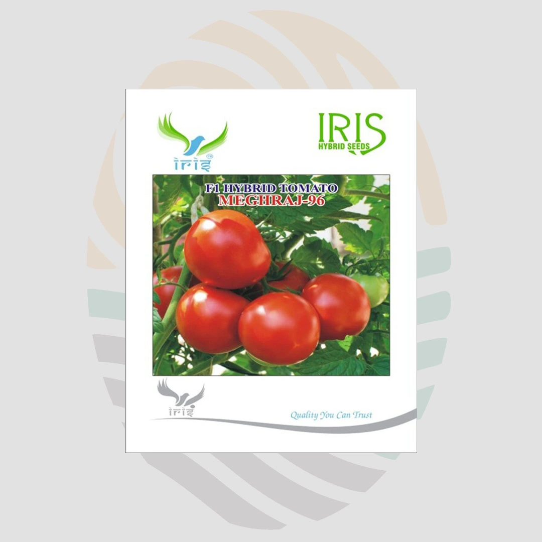 Meghraj-96 F1 Hybrid Tomato Seeds