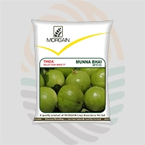 Munna Bhai Research Tinda Seeds