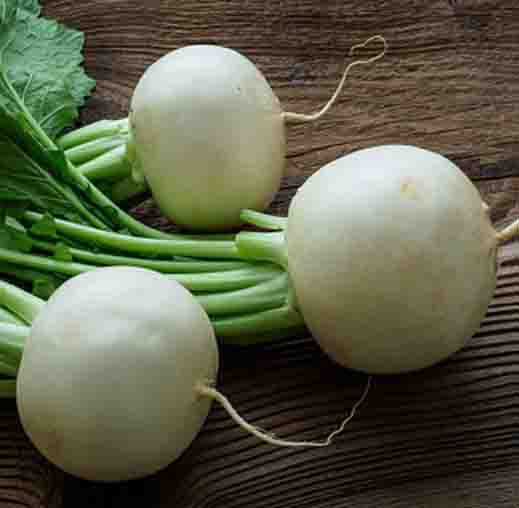 Radha Krishna Radish White Round Seeds