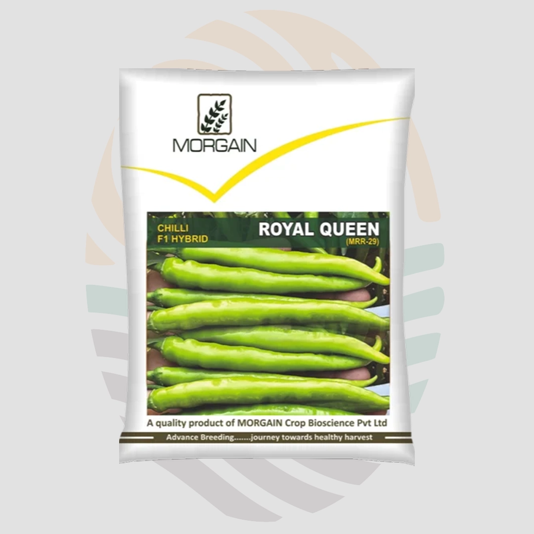 Royal Queen (F1) Hybrid Chilli Seeds
