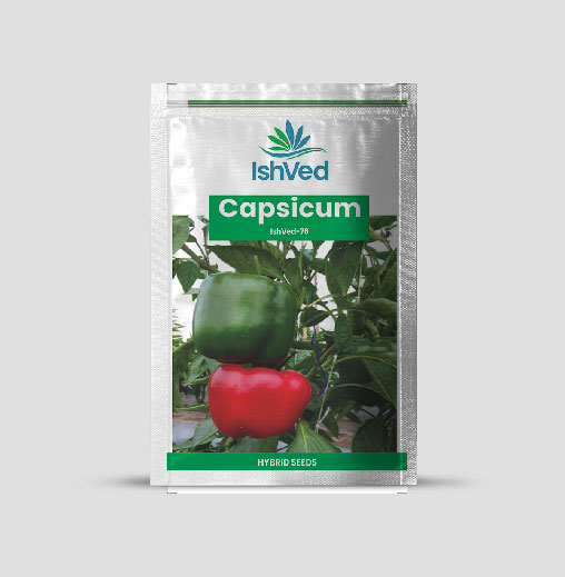IVSPH - 76 Capsicum Seeds