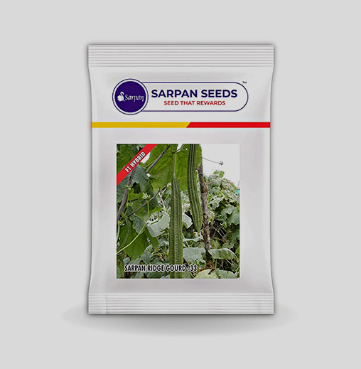 Sarpan -33 Ridgegourd Seeds