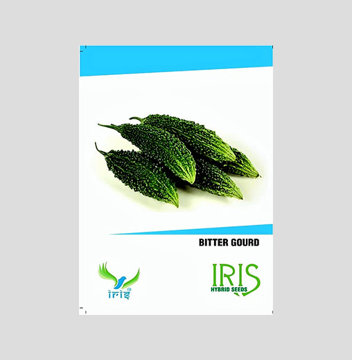 Iris F1 Hybrid Bitter Gourd Seeds