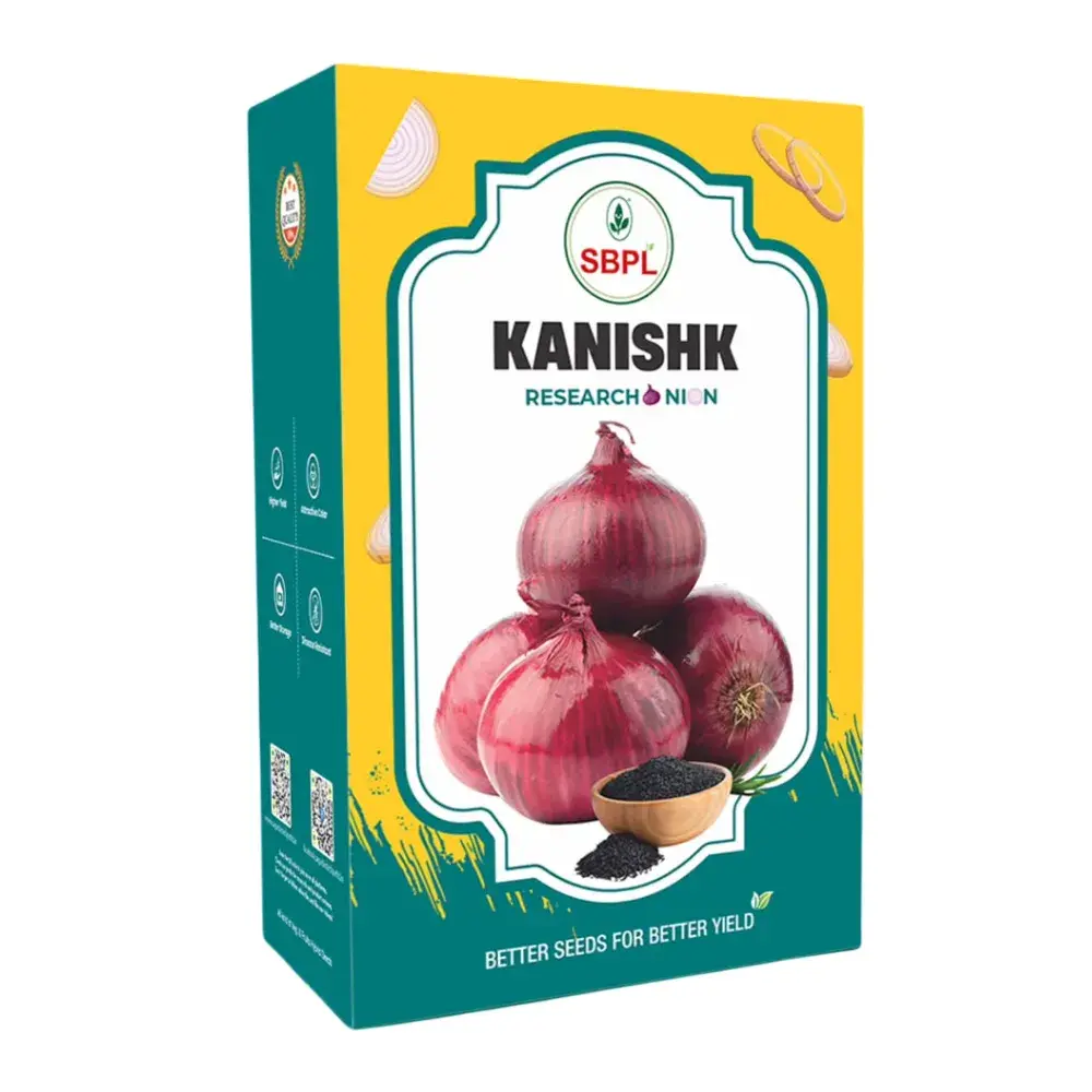 Sagar Kanishk Onion Seeds, Red Round Bulbs