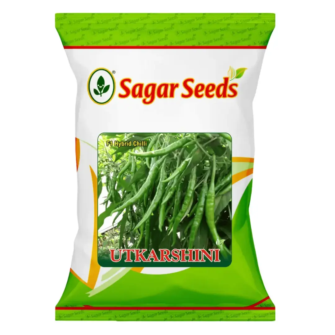 Sagar Utkarshini F1 Hybrid Chilli Seeds, High Yield, High Pungency, Dual-Purpose