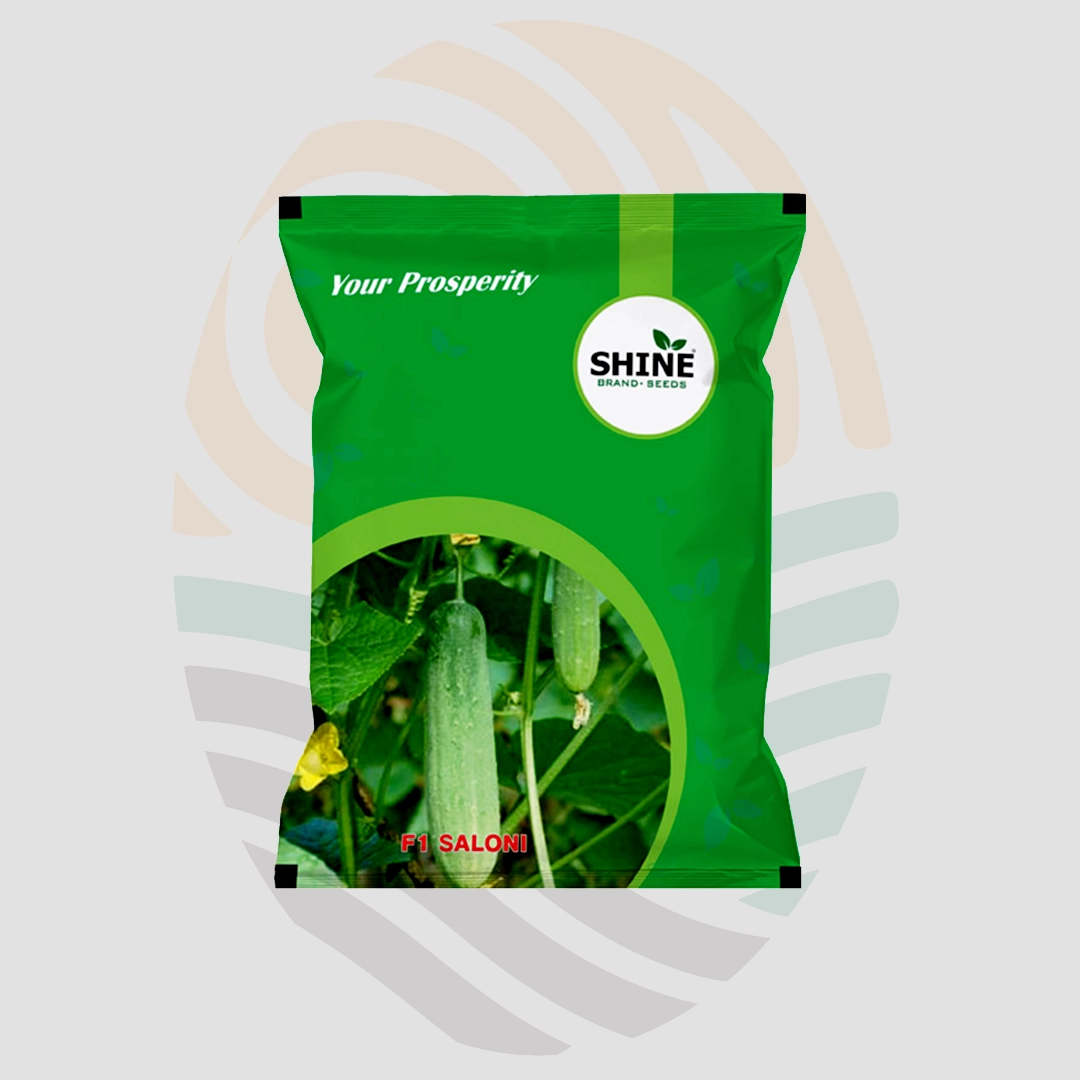 Saloni F1 Hybrid Cucumber Seeds