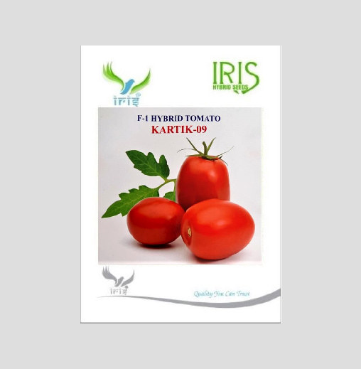 Iris Kartik-09 F1 Hybrid Tomato Seeds