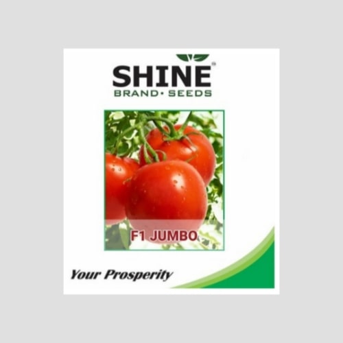 Jumbo F1 Hybrid Tomato Seeds