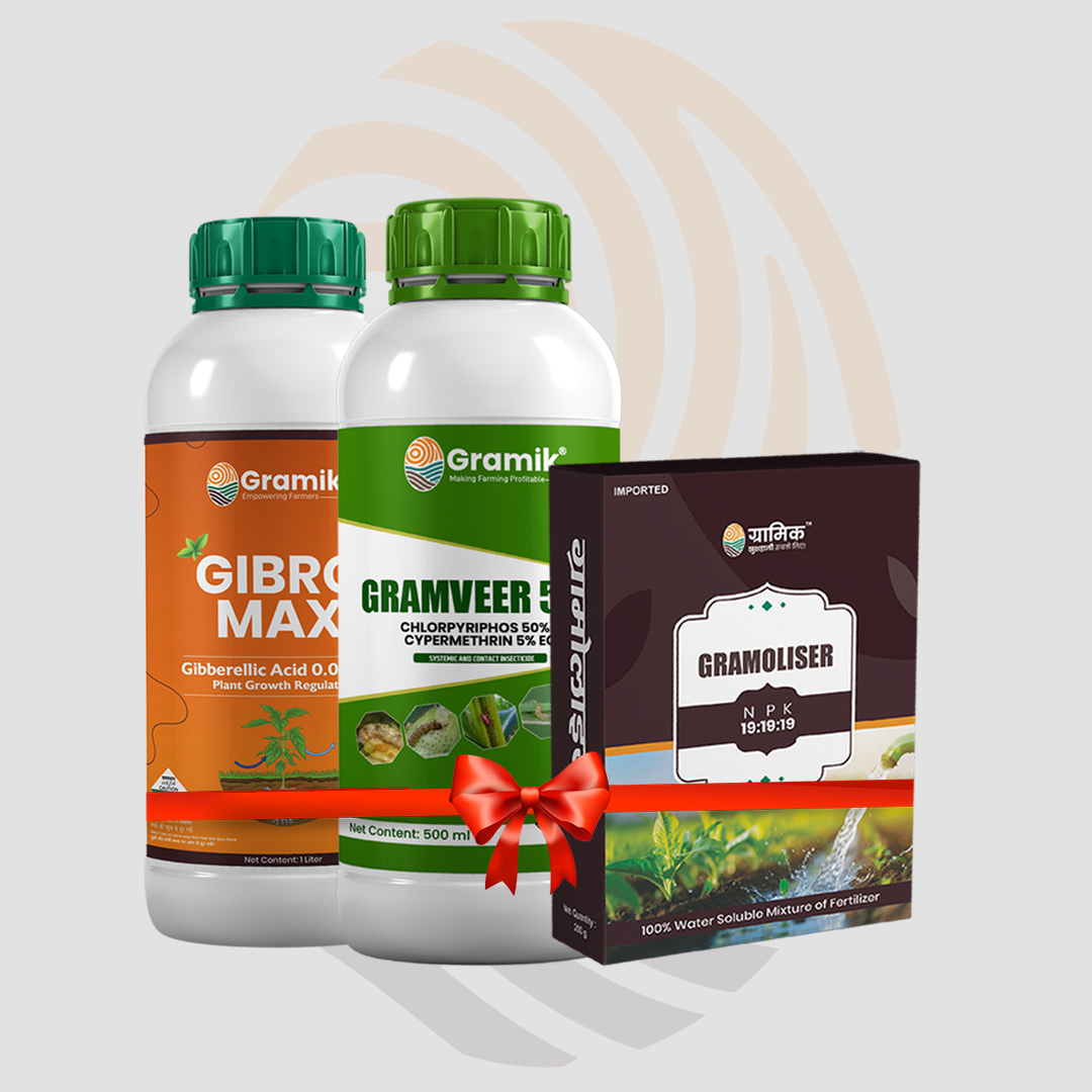 Gramveer 550 (250ml) + Gibromax (250ml) +NPK 19:19:19 (200gm)
