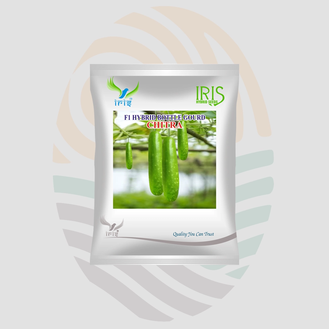 Iris  F1 Hybrid Chitra Bottle Gourd Seeds