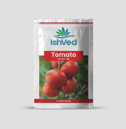 IVTMH - 103 Tomato Seeds