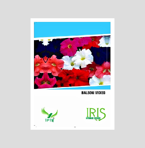 Balsam Mix F1 Hybrid Seeds