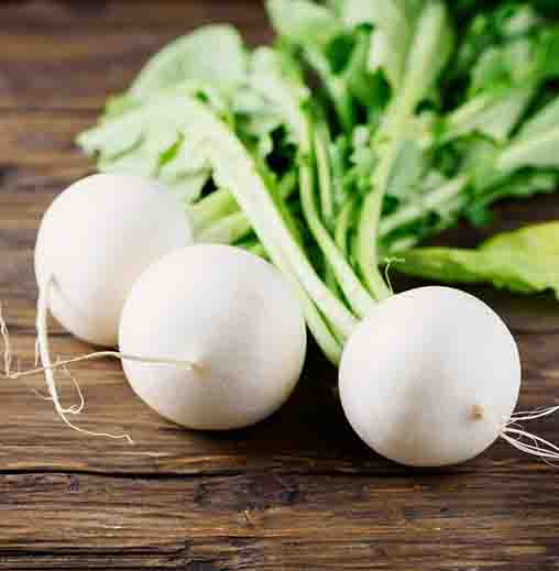 Radha Krishna Turnip White Seeds