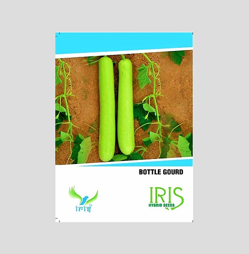 Iris F1 Hybrid Bottle Gourd Seeds
