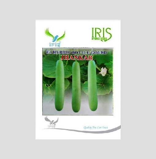 Iris Hybrid Vegetable Seeds F1 Hybrid Bottle Gourd Jhankar (Long)
